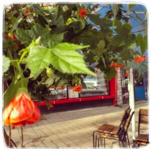 Улица в Батуми на кануне нового года.