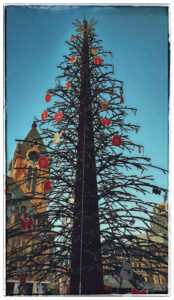 Новогодняя ёлка в Батуми 2022.